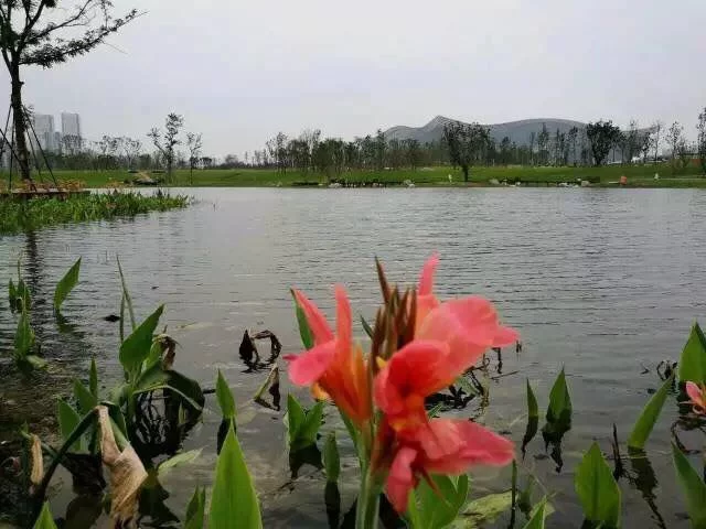 成都版“纽约中央公园”即将开园(图2) 成都版“纽约中央公园”即将开园1