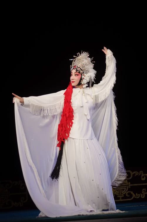 中华戏曲名师传承训练营活动圆满落幕(图6) 中华戏曲名师传承训练营活动圆满落幕(图6)