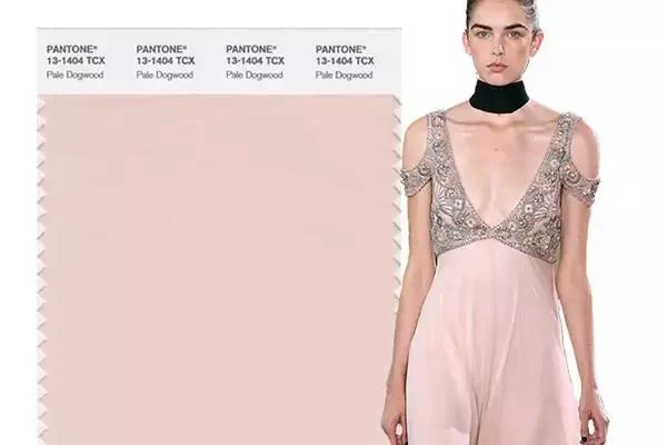 淡山茱萸(Zhu Yu粉 PANTONE 13-1404 Pale Dogwood