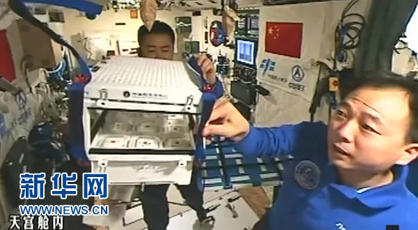 中国人首次在太空当“菜农” 栽培装置部分来自3D打印(图1)