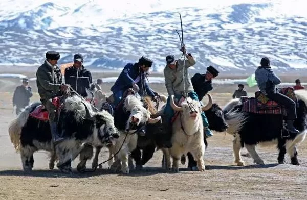 “丝绸之路冰雪风情节”摄影图片展在上海图书馆展出(图2) 《冬趣》 孙梦清