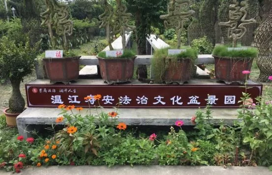 成都文艺界人士走进温江区 助力公益广告创作大赛(图4) 独具特色的成都市温江区寿安镇天星村法治文化盆景园
