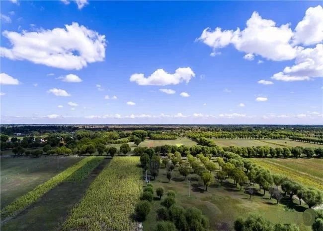 陕西榆阳:迈上改革新征程 谱写发展新篇章(图4) 风光