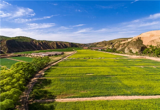 陕西榆阳:向老百姓提交高质量发展的“幸福答卷”(图7) 美丽田园-黄崖窑村