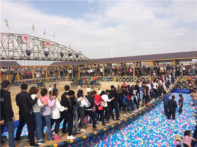 陕西榆阳:向老百姓提交高质量发展的“幸福答卷”(图1) 金鸡滩镇白舍牛滩村田园综合体游人如织