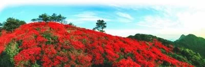 中部示范的生动答卷——来自老区黄冈的时代报告(图1) 中部示范的生动答卷——来自老区黄冈的时代报告(图1)