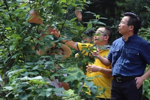 现实版《放牛班的春天》:扶贫路上,他在大山里建了支童声合唱团(图1) 现实版《放牛班的春天》:扶贫路上,他在大山里建了支童声合唱团(图1)