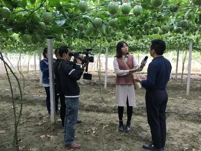 现实版《放牛班的春天》:扶贫路上,他在大山里建了支童声合唱团(图12) 现实版《放牛班的春天》:扶贫路上,他在大山里建了支童声合唱团(图12)