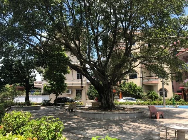 美丽如画的东莞鳌峙塘社区(图5) 美丽如画的东莞鳌峙塘社区(图5)