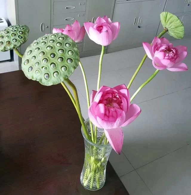 蜀山龙建儒:时光滚烫,岁月悠长,世界拥挤我也很忙(图2) 蜀山龙建儒:时光滚烫,岁月悠长,世界拥挤我也很忙(图2)