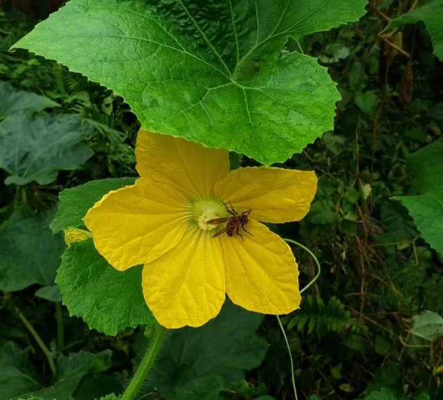 蜀山龙建儒:时光滚烫,岁月悠长,世界拥挤我也很忙(图8) 蜀山龙建儒:时光滚烫,岁月悠长,世界拥挤我也很忙(图8)