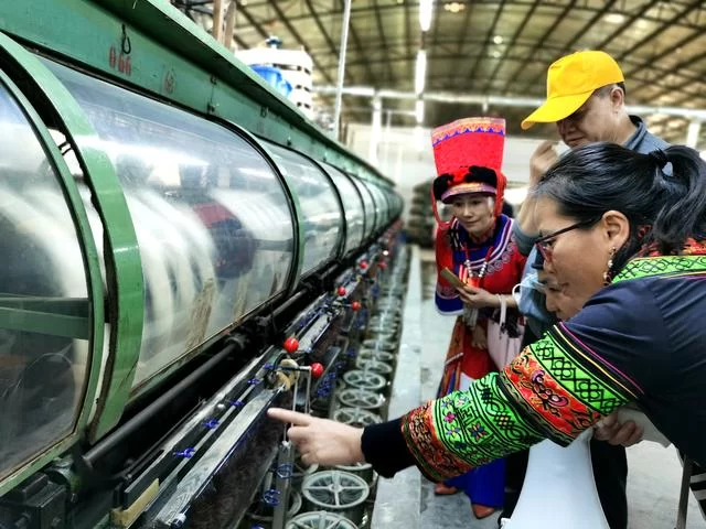 用有温度的作品助力脱贫攻坚——广西、百色两级文联组织作家赴隆林采风侧记(图13)