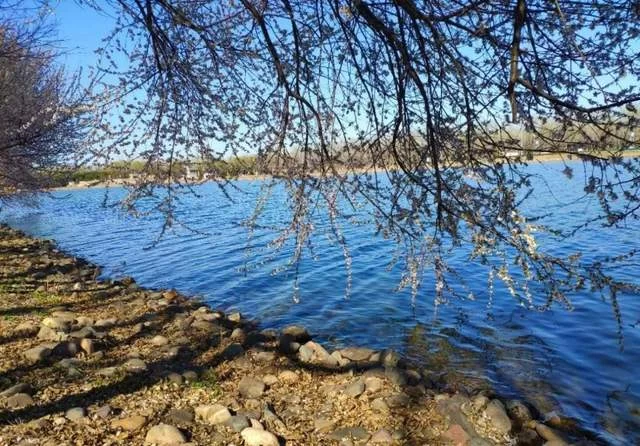 “顺意好礼”决赛作品精彩纷呈，尽展顺义风景名胜风貌(图4)