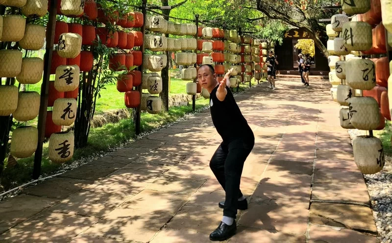 【观点】龙顺：传统武术不能上擂台不是拳不行，而是练法没跟上时代