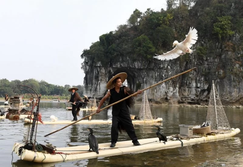 奋斗百年路 启航新征程丨“红+绿”让漓江人端起“金饭碗”(图5) 奋斗百年路 启航新征程丨“红+绿”让漓江人端起“金饭碗”(图5)