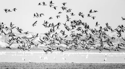 美丽中国的“江西样板”(人民眼·绿色发展)(图1) 美丽中国的“江西样板”(人民眼·绿色发展)(图1)