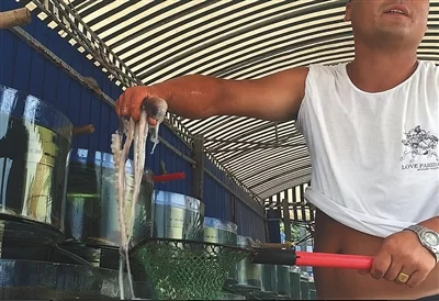 东戴河摩托艇商家设宰客圈套敛财(图1) 东戴河摩托艇商家设宰客圈套敛财(图1)