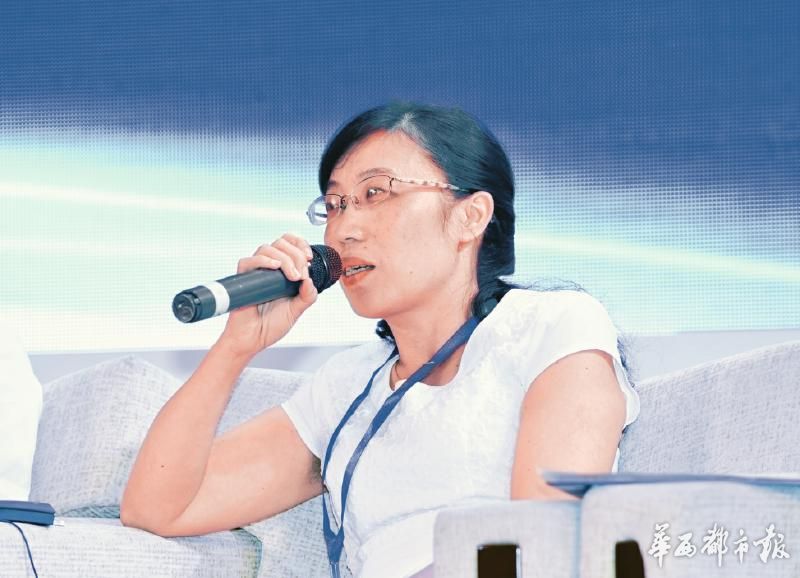 各路嘉宾“绸都论剑” 四川如何发展特色小城镇(图8)