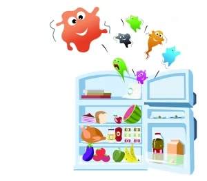 李斯特菌: 冰箱里的“隐形杀手”(图1)