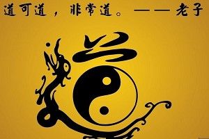 绚丽风采尽在无言中 (图3) 绚丽风采尽在无言中 (图3)