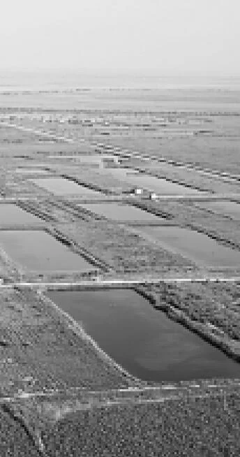 构建“大水大绿大空间”的生态格局 构建“大水大绿大空间”的生态格局