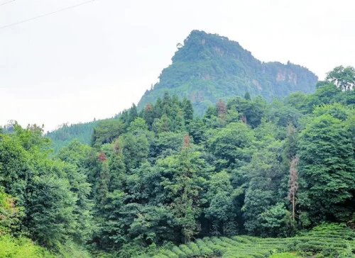 宜宾天宫山石匾现“石达开” 再添渡江之谜(图)(图1) 点击进入下一页