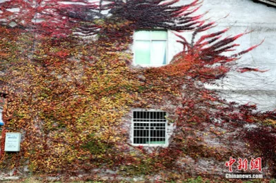 不开空调也能让房间冬暖夏凉(图1) 不开空调也能让房间冬暖夏凉(图1)