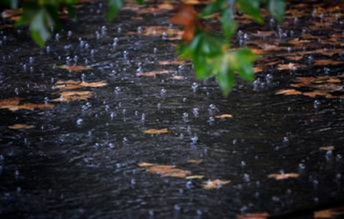 天青色等烟雨 与古代诗人李白刘禹锡共赏秋色(图1)
