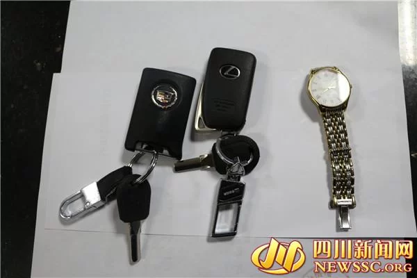 泸州一“老赖”欠款80万元 依旧戴名表开豪车(图)