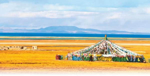 美丽中国：羌塘草原 万类霜天竞自由(图1)