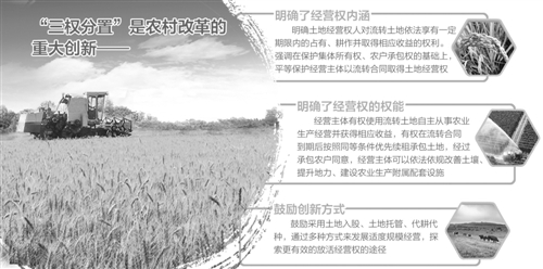 深化农村改革的重大制度创新(图1)