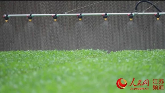 “互联网+”重塑江苏三农：农业提质增效 农民创业致富(图4)