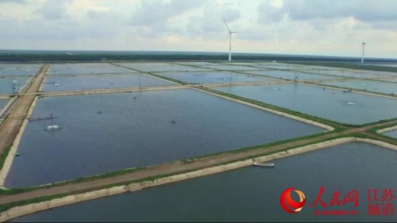 “互联网+”重塑江苏三农：农业提质增效 农民创业致富(图3)