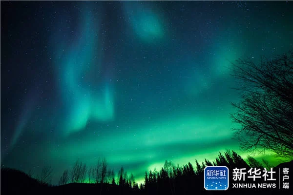 在阿拉斯加追逐北极光美景(图1) 在阿拉斯加追逐北极光美景(图1)
