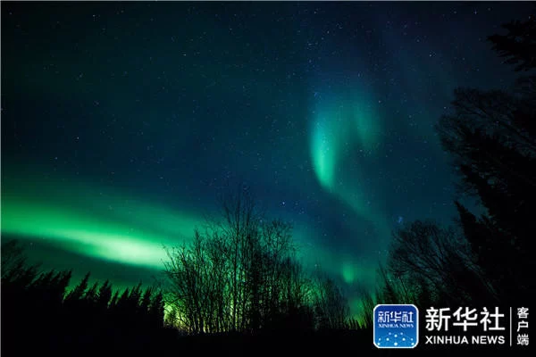 在阿拉斯加追逐北极光美景(图4) 在阿拉斯加追逐北极光美景(图4)
