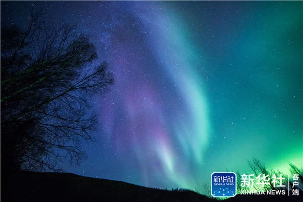 在阿拉斯加追逐北极光美景(图5) 在阿拉斯加追逐北极光美景(图5)
