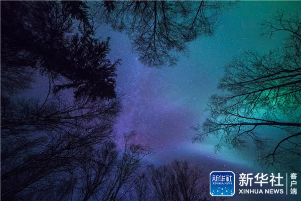 在阿拉斯加追逐北极光美景(图3) 在阿拉斯加追逐北极光美景(图3)