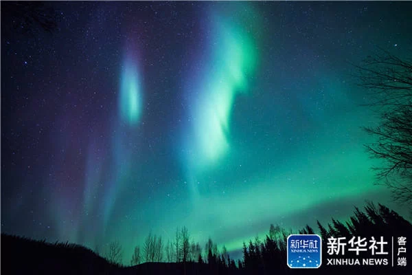 在阿拉斯加追逐北极光美景(图6) 在阿拉斯加追逐北极光美景(图6)