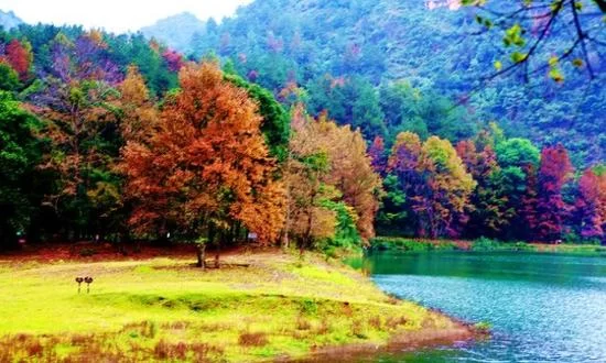 新浪博主：@叠乱