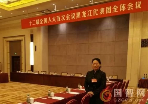 人大代表王月清:回收快递包装垃圾 实现绿色物流