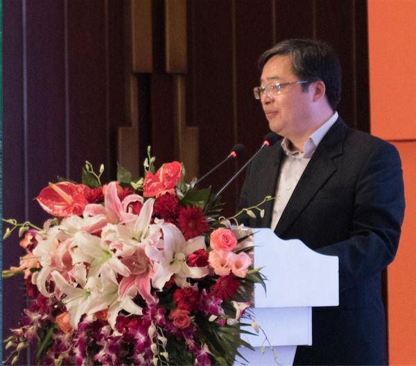 奥雷·华语电影发展国际论坛暨颁奖盛典隆重举行(图2) 北京市文化创意产业促进中心主任梅松