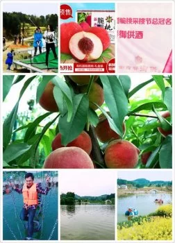 四川绵阳：抓住全域旅游发展契机大力发展农业产业，梓潼县华沙乡村旅游成亮点！