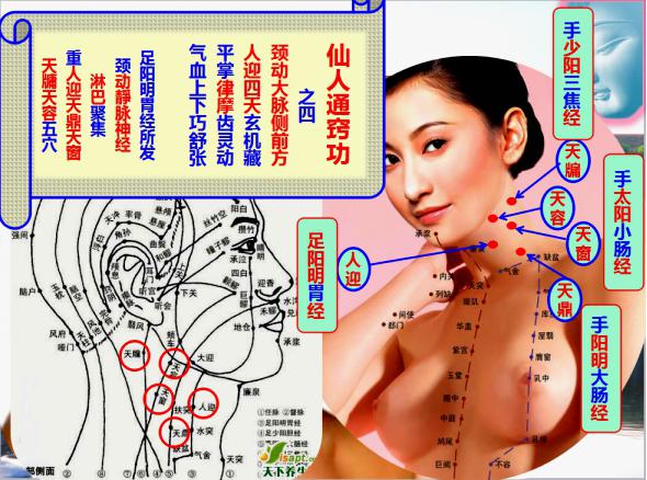 道源圣地话养生 陈红涛教授青城山下传授独创康养功法(图3) 功法幻灯片展示