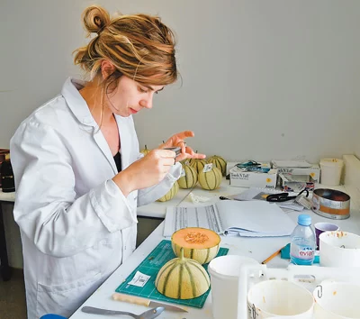 刺激经济发展 法国政府公布劳动法改革法令(图1) 刺激经济发展 法国政府公布劳动法改革法令(图1)