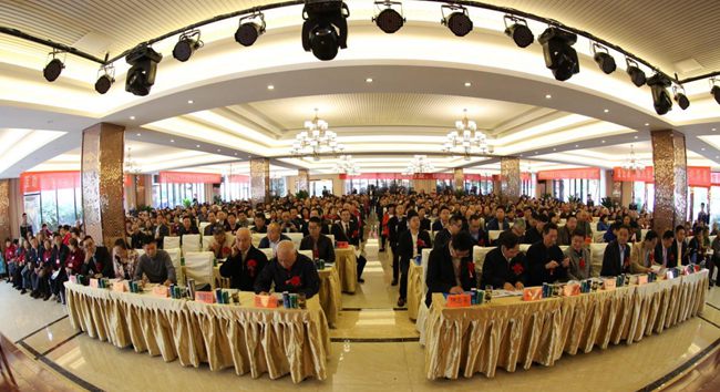 四川省民生研究会互助养老中心暨齐力慈善健康关爱基金在蓉成立(图5) 大会现场