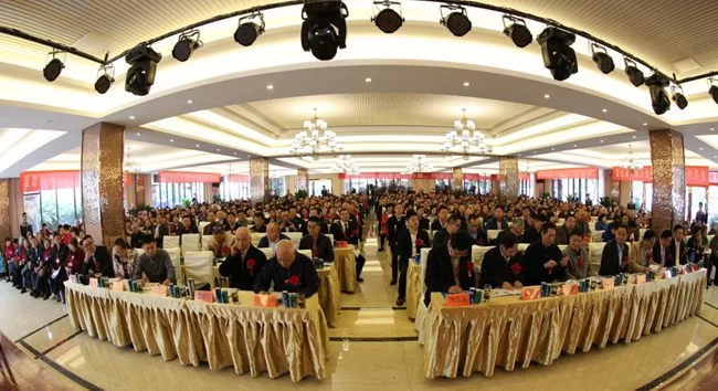 四川省民生研究会互助养老中心暨齐力慈善健康关爱基金在蓉成立(图5) 大会现场