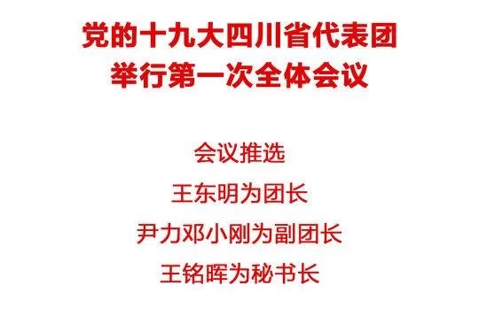 党的十九大四川省代表团举行第一次全体会议 推选王东明为团长(图1)