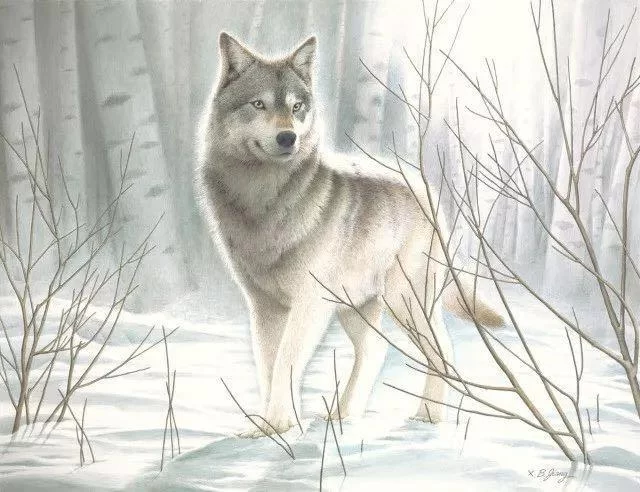 租租艺术(zuzuart)联姻艺术大师  作品还原开辟艺术共享新时代(图2) 姜学炳作品《狼-银雾》51cm*67cm