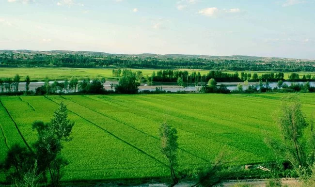 生态文明建设让陕西榆林留住“青山”赢得“金山”(图1) 绿色榆林