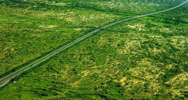 陕西榆林:在沙海里创造绿色奇迹(图1) 榆林夏日景象